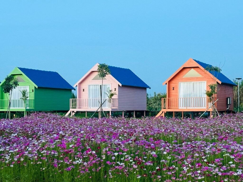 Three vibrant cabins painted green, pink, and orange sitting in a field of blooming pink flowers.