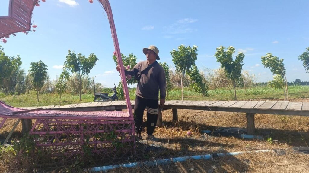 Landscaper inspecting a pink decorative arch and wooden walkway in a garden landscape.