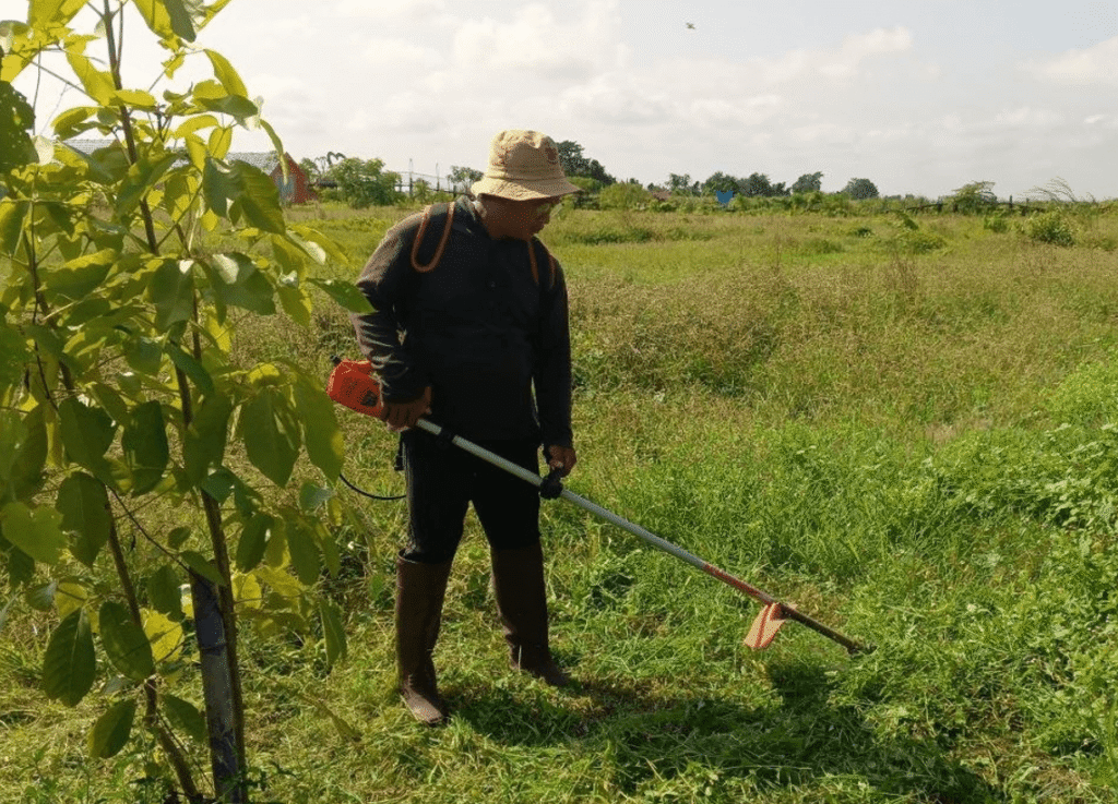 How to Start a Gardening Business With No Money: My Zero-Capital Story