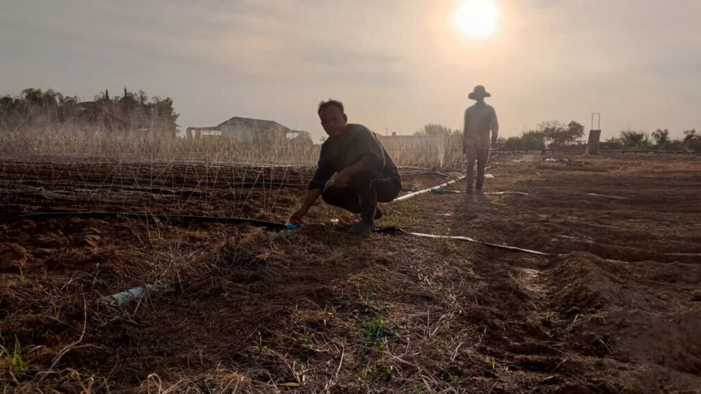 Two men laying out water pipes and testing irrigation in a large garden field at sunset.