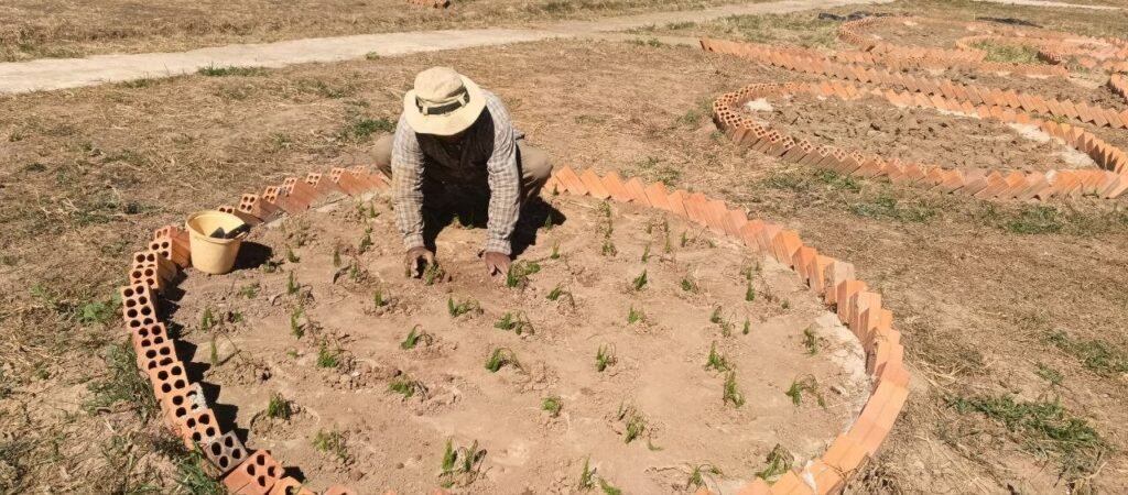 Landscaper planting seeds by hand inside a circular brick garden bed.