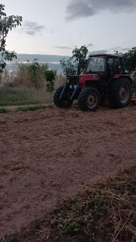 A red tractor plowing the soil at Dream Garden to rebuild the land after a business failure.
