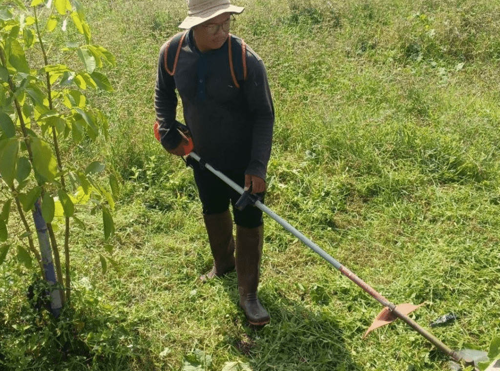 Landscaper wearing boots and a hat using a gas-powered brush cutter to clear an overgrown grassy field.
