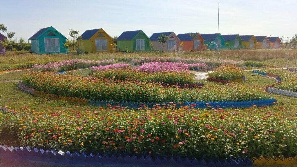 Striking landscape beds filled with bright red and yellow cockscomb (Celosia) flowers, arranged in precise patterns with decorative colored edging.