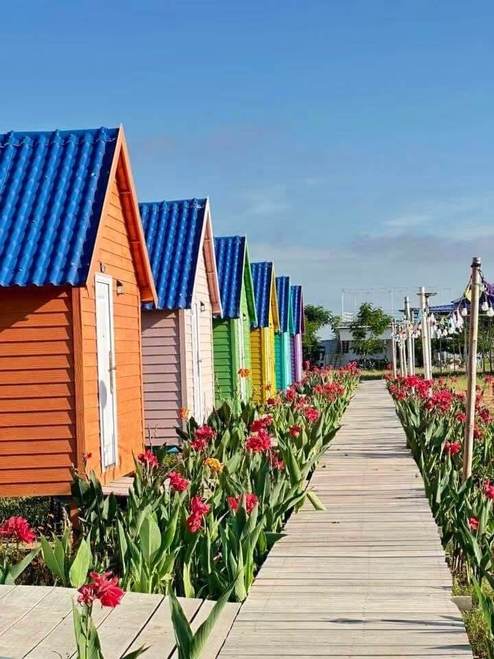 Row of colorful A-frame rest houses lined with red canna lilies providing natural privacy in the garden