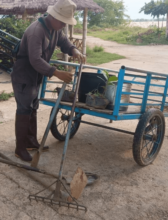 A gardener organizing basic hand tools like a hoe, rake, and spade on a blue metal utility cart.