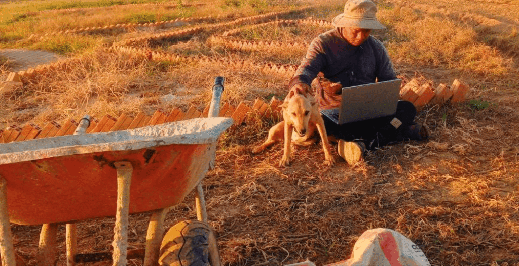 A man sitting in a dry, dead garden field with his dog and a laptop, researching how to recover from a business failure.