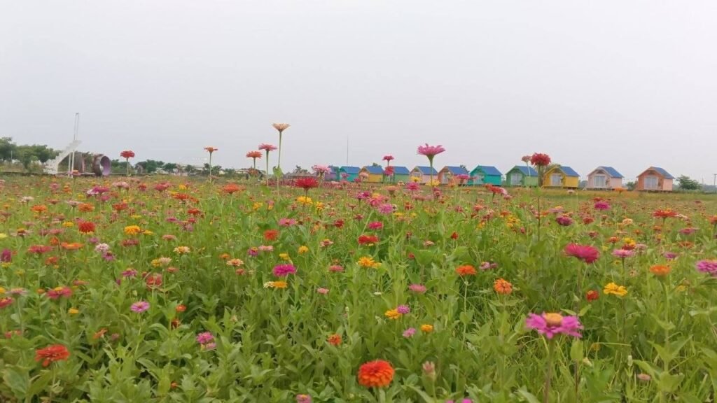 Flower Attraction Business: Model, Costs & Real Numbers