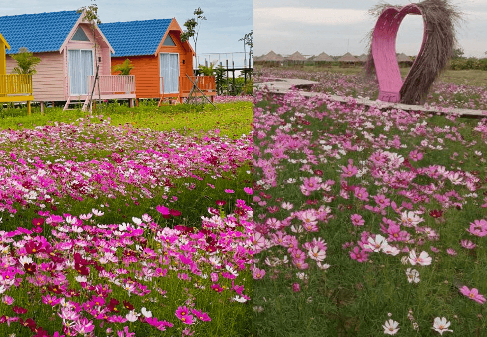 Flower Attraction Business Ideas: 7 Small-Scale Concepts You Can Start on Under an Acre