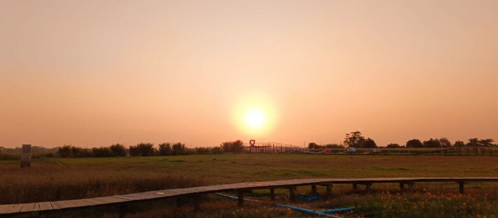 Sunset view over the natural grassy landscape and wooden walkway in the Wild Zone at Dream Garden