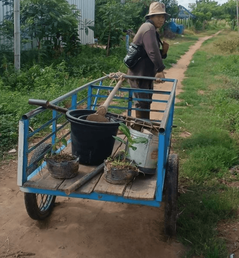 A gardener pushing a loaded blue metal utility cart with saplings and tools down a dirt path.