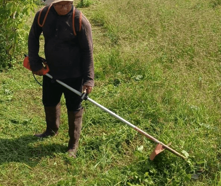 A gardener wearing safety boots using a powered string trimmer to cut tall grass in a field.