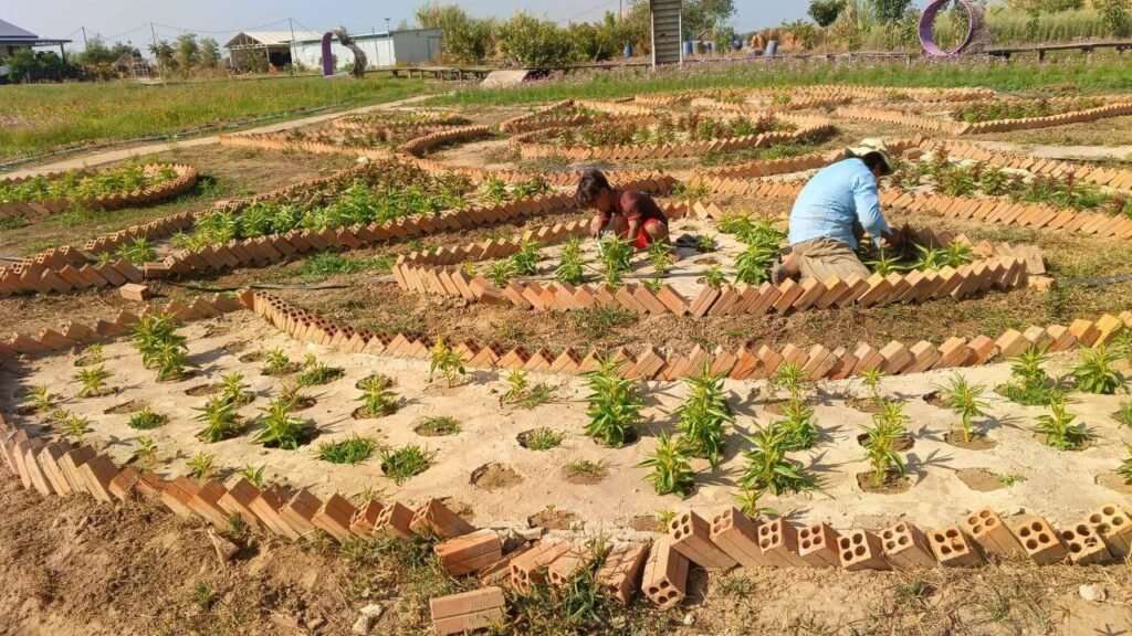 Two people doing groundwork, planting small green plants inside curved brick garden beds.