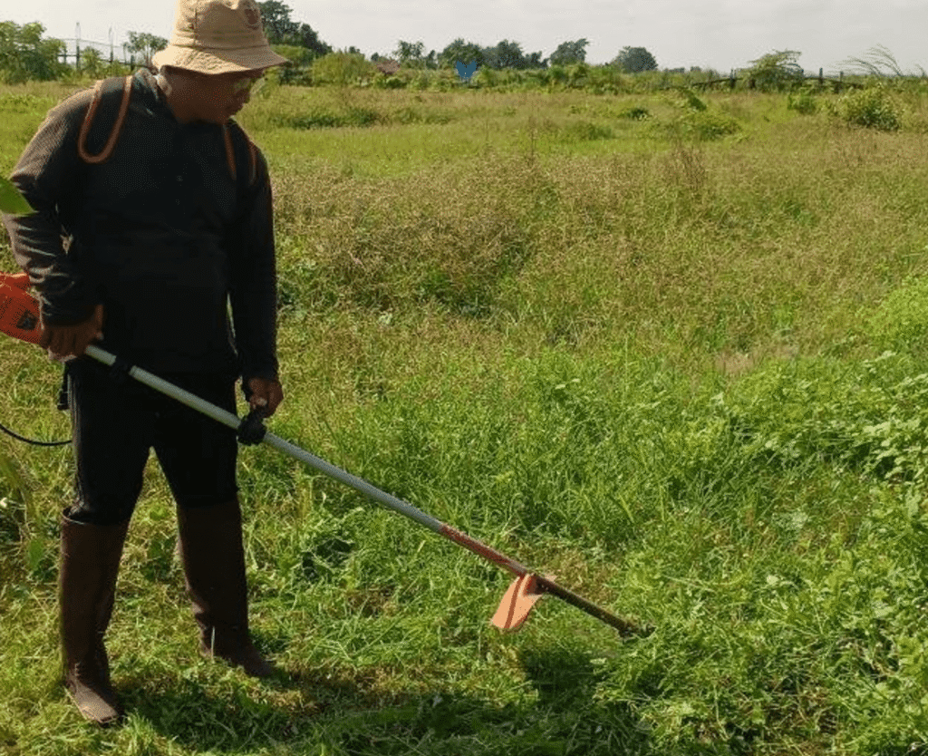 A landscaper wearing rubber boots and a hat, cutting tall grass with a string trimmer.
