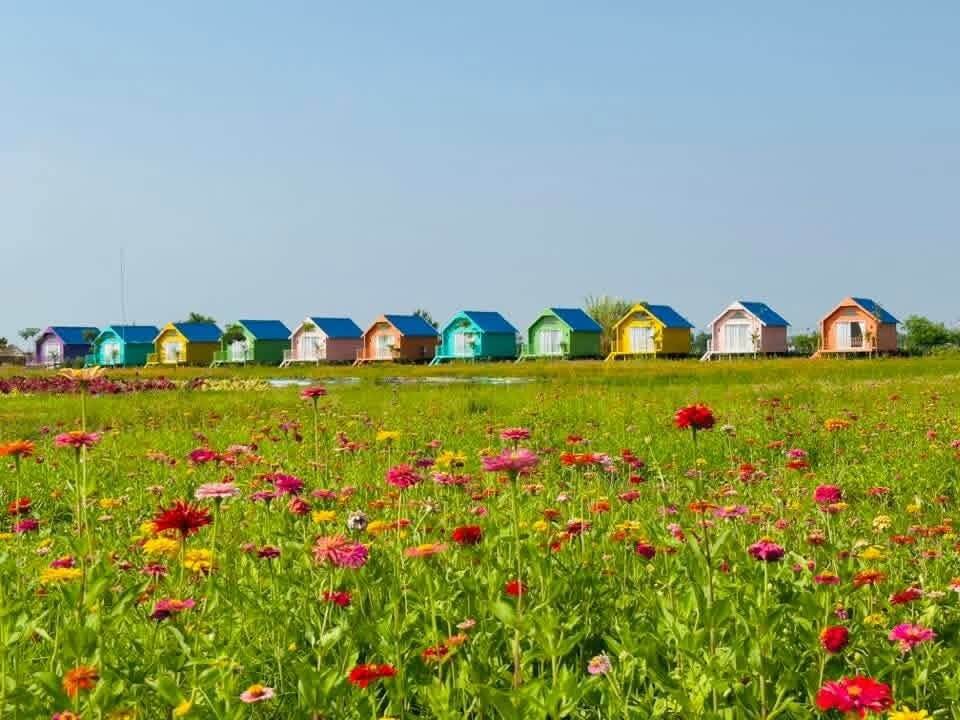 Wide view of Dream Garden showing the colorful rest house zone separated from the open field
