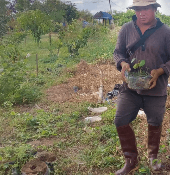 A gardener in a hat and rubber boots holding a young plant sapling in a plastic nursery bag in a garden.