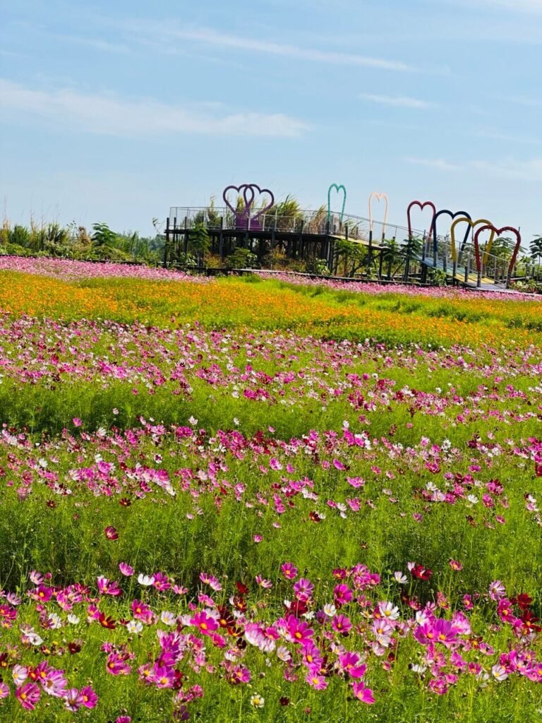 Rainbow heart-shaped archways overlooking vibrant cosmos and marigold flower fields in the Wow Zone