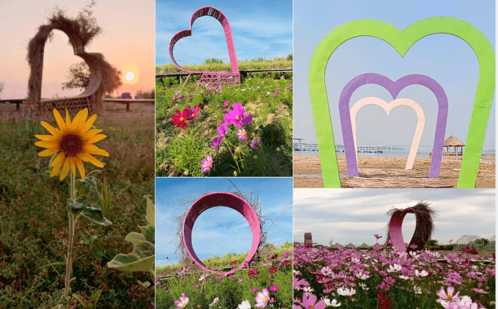 12 Selfie Spot Landscaping Business Ideas: DIY, Low-Maintenance Installs You Can Build on a Budget