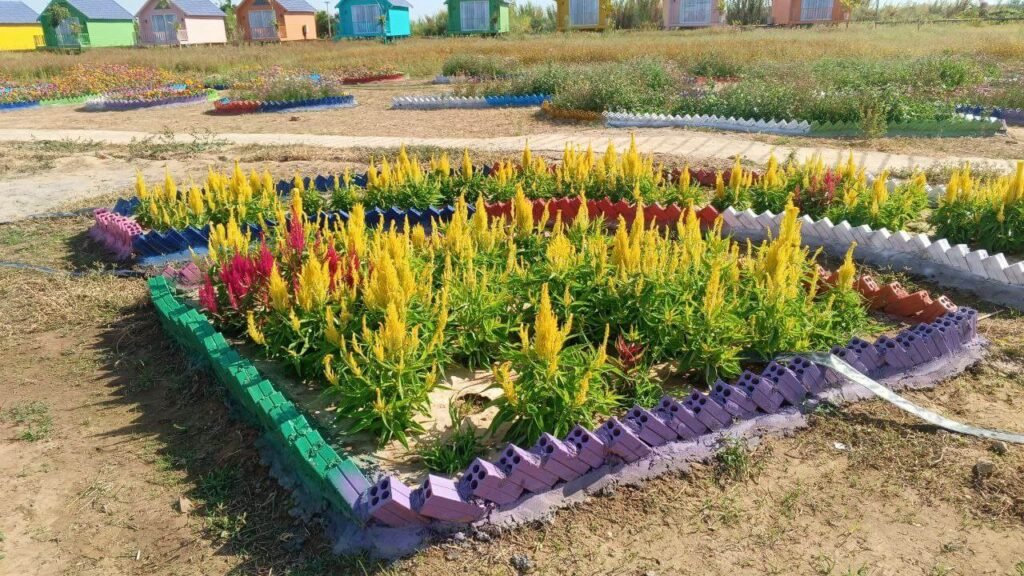 How to Start a Gardening Business (From Someone Who Failed)