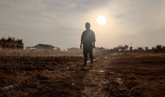 A silhouette of a man inspecting an automatic irrigation system watering a field at Dream Garden during sunrise, illustrating the business shift to technical management.