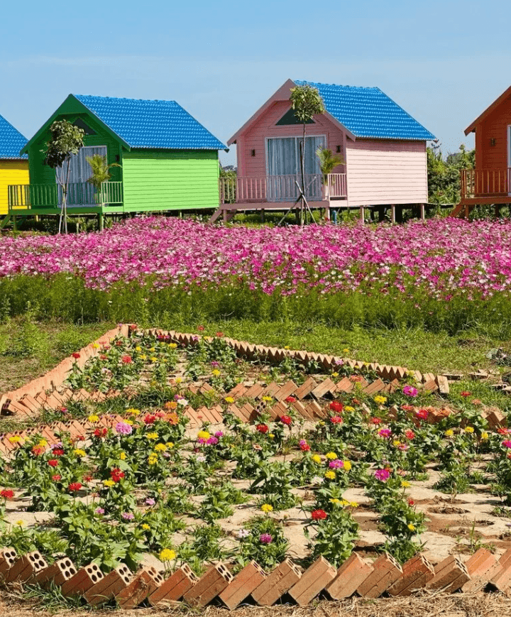 Recycled brick garden border filled with blooming colorful zinnias.