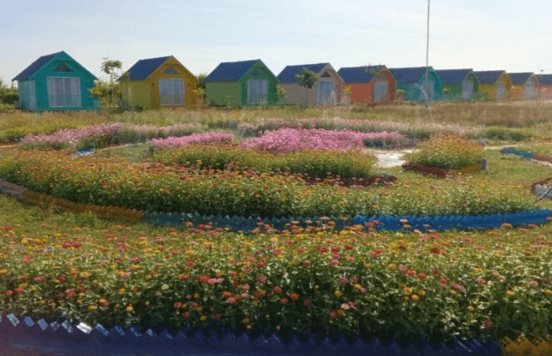 Blooming flower beds in front of colorful garden business cabins.