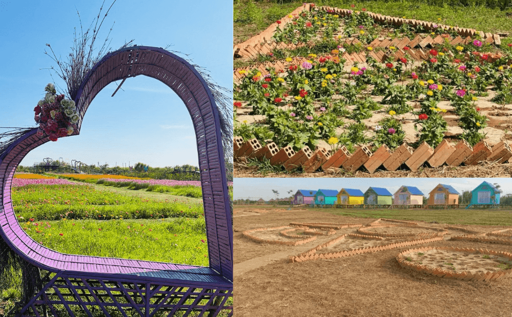 10 Budget Landscaping Ideas for Garden Businesses (From Our Own Dream Garden)