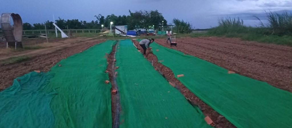 Workers laying green protective mesh over planting rows to build the garden section by section.