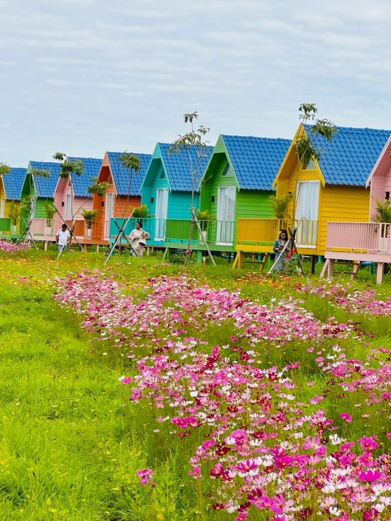 A row of brightly painted, colorful tiny homes (teal, yellow, green, pink, purple) with blue roofs, nestled behind a dense field of pink cosmos flowers.