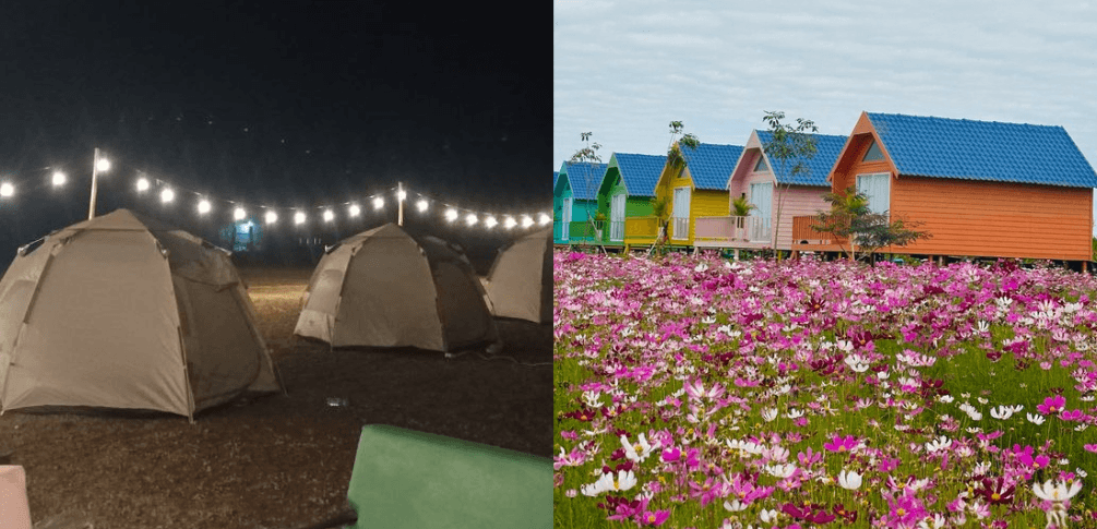 Ground Tents vs Raised Tiny Homes for Tropical Glamping: What We Learned the Hard Way