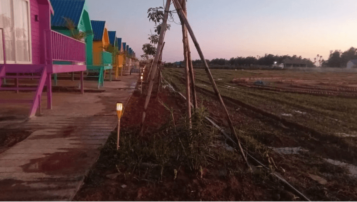 Solar stake lights illuminating a garden dirt pathway at dusk.